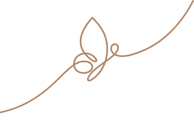 Decorative leaf line illustration